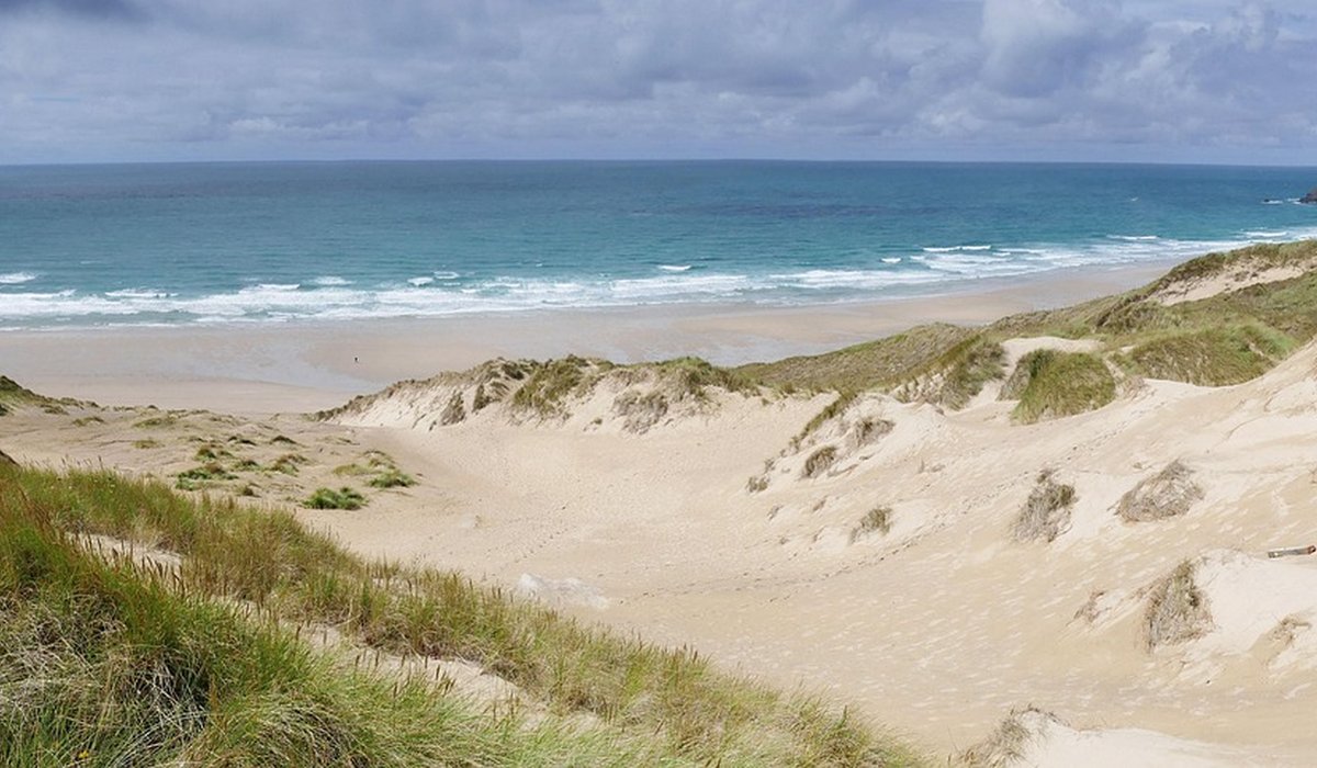 Choosing Binoculars for Coastal Wildlife Watching