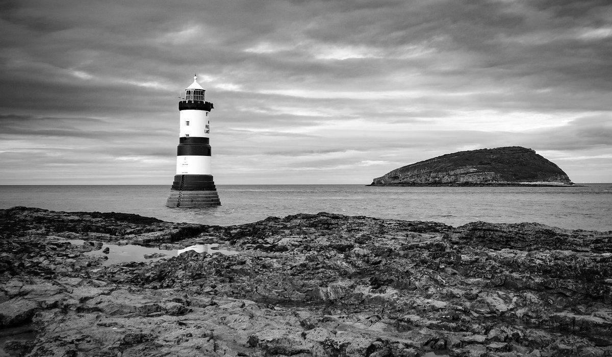 How Coastal Fog Forms and When to Wait